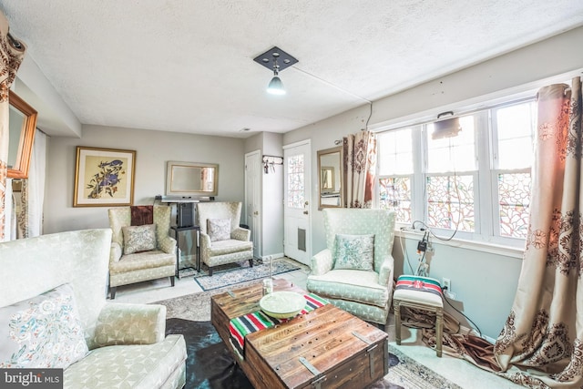 living room featuring a textured ceiling