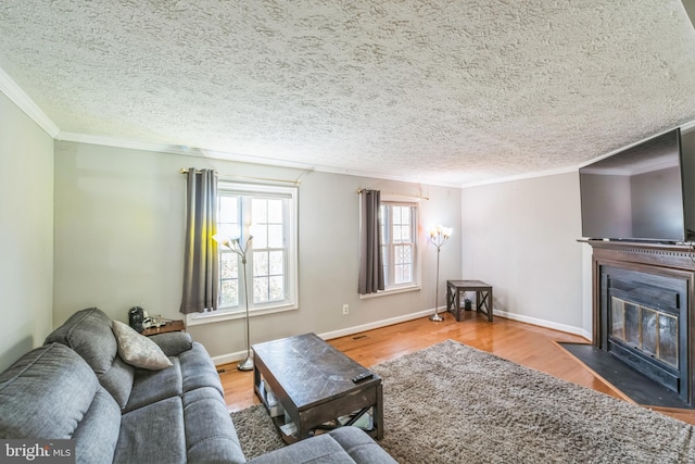 living room featuring wood-type flooring, a textured ceiling, and ornamental molding