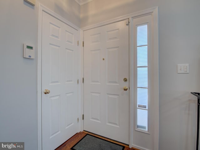 foyer entrance featuring dark hardwood / wood-style floors