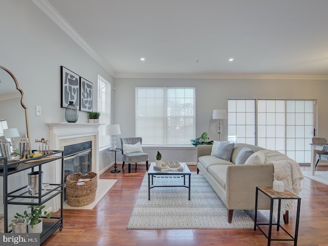 living room featuring dark wood-type flooring and ornamental molding