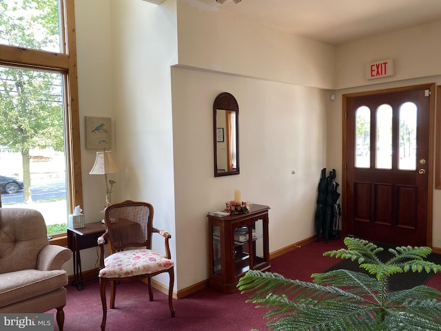 view of carpeted foyer entrance