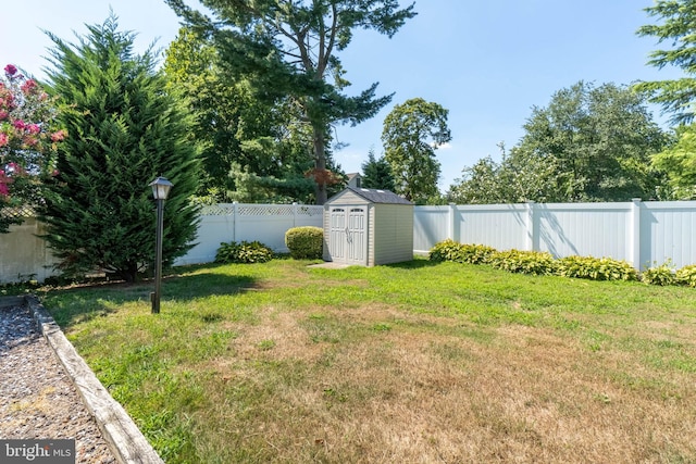 view of yard featuring a storage shed