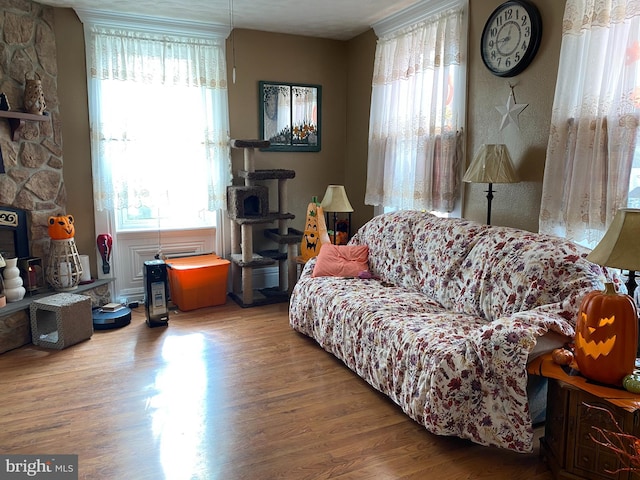 living room with hardwood / wood-style flooring