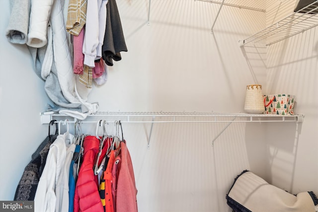 view of spacious closet