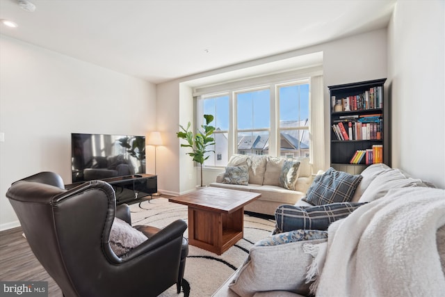 living room with hardwood / wood-style flooring