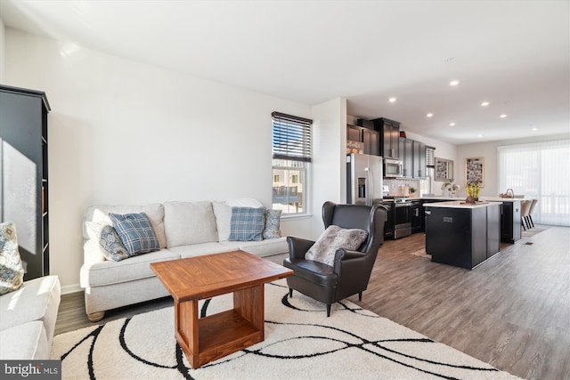 living room featuring light hardwood / wood-style floors