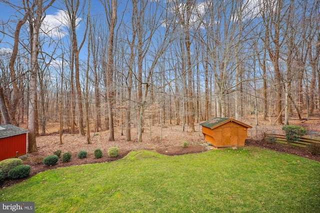 view of yard featuring a storage shed