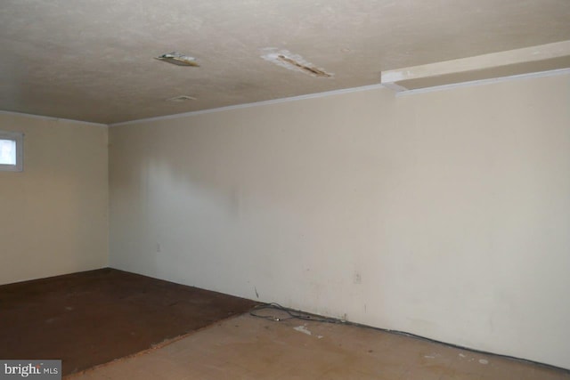 basement with crown molding