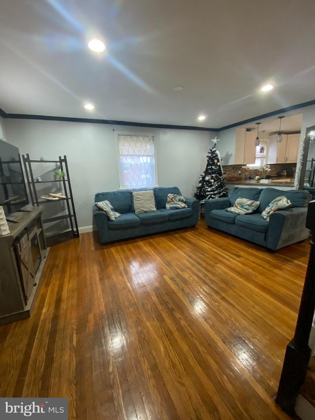 living room with dark hardwood / wood-style floors