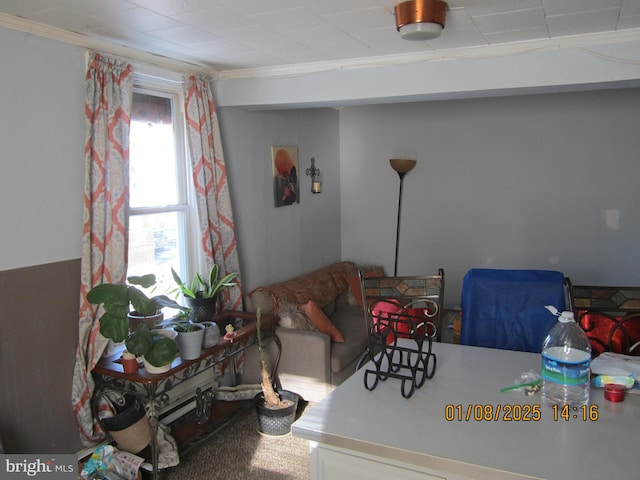 living room with ornamental molding