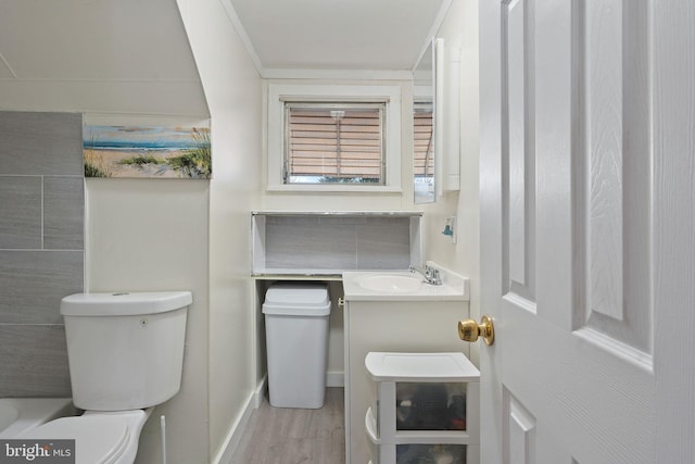 bathroom featuring vanity, toilet, and hardwood / wood-style floors