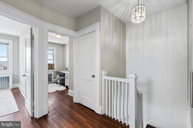 corridor featuring dark hardwood / wood-style flooring, an inviting chandelier, and radiator