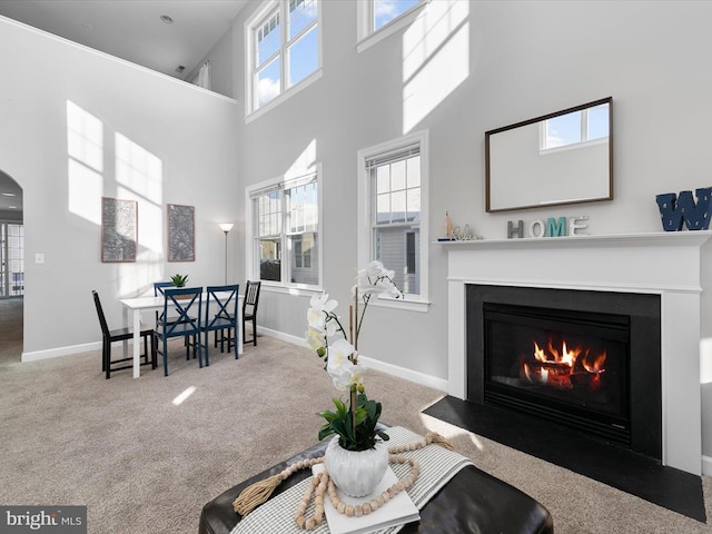 living room with carpet and a high ceiling