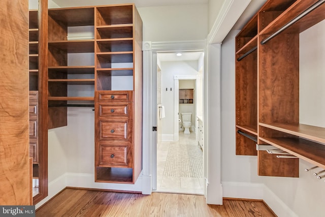 spacious closet featuring light hardwood / wood-style floors