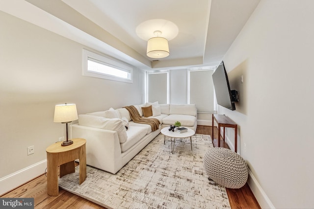 living room with light wood-type flooring