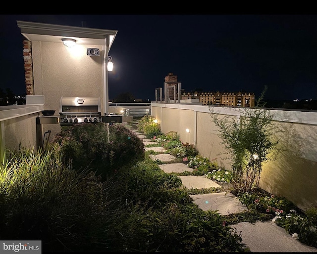 yard at twilight featuring exterior kitchen