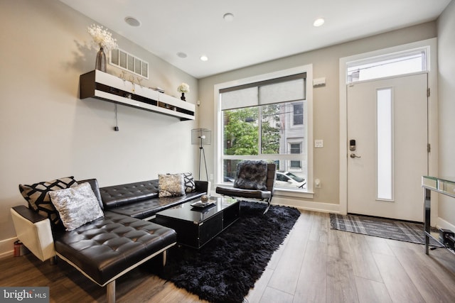 living room featuring wood-type flooring