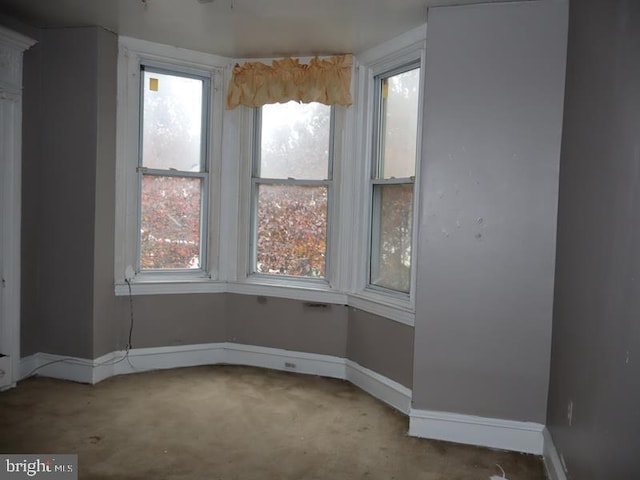 view of carpeted spare room