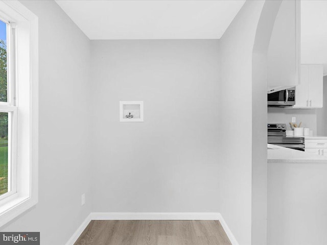 washroom featuring light hardwood / wood-style floors and a healthy amount of sunlight