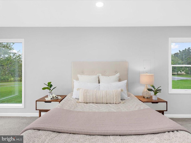 bedroom featuring multiple windows and carpet floors