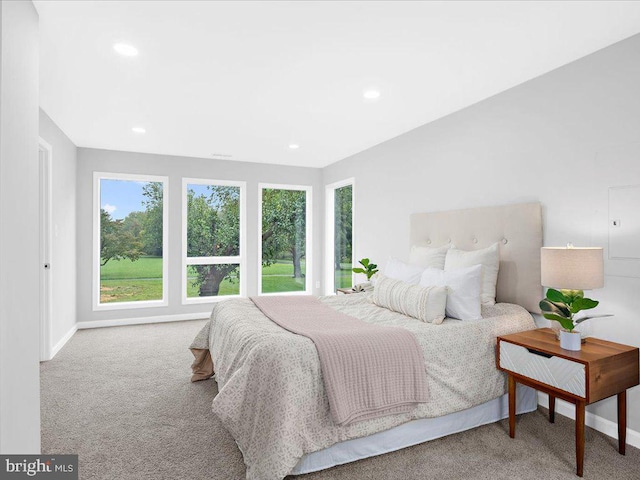 carpeted bedroom with multiple windows