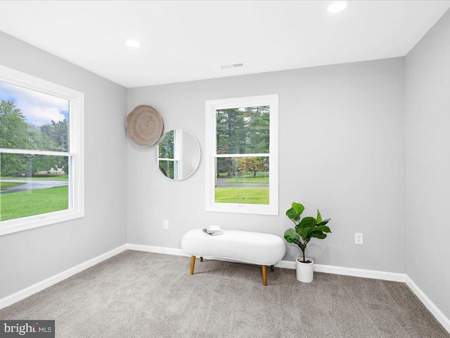 sitting room featuring carpet