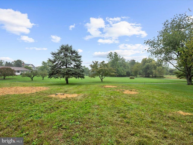 view of yard with a rural view