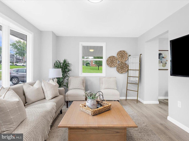 living room with light wood-type flooring