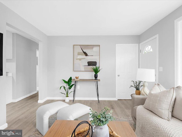 living room with light hardwood / wood-style floors