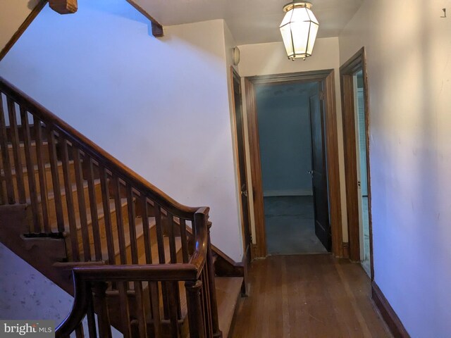 hallway featuring dark hardwood / wood-style flooring