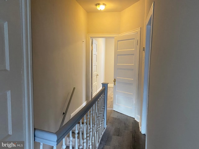 hall featuring dark hardwood / wood-style floors