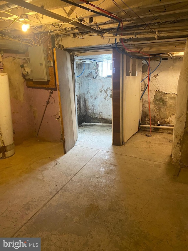 basement with gas water heater and electric panel