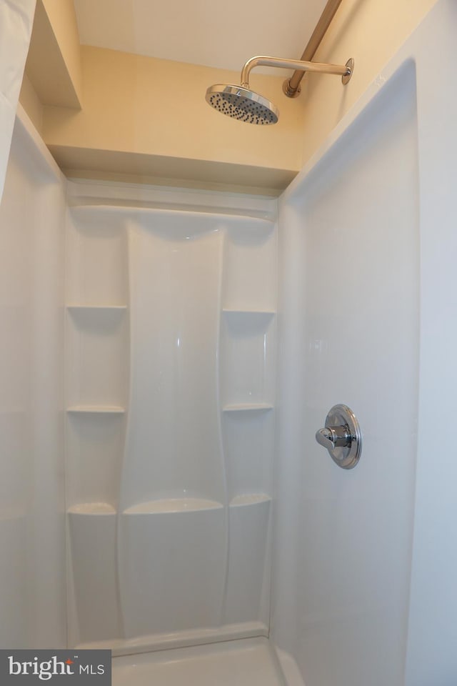 bathroom with a shower