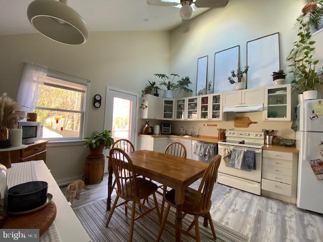 dining room with ceiling fan and light wood-type flooring