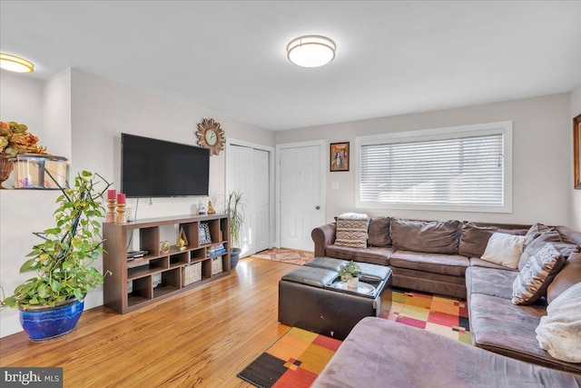 living room with hardwood / wood-style floors