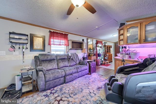 living room with hardwood / wood-style floors, lofted ceiling, ornamental molding, ceiling fan, and a textured ceiling