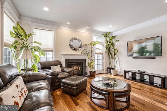 living room with crown molding and hardwood / wood-style floors