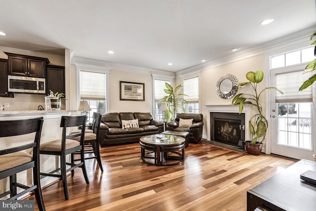 living room featuring plenty of natural light, crown molding, and light hardwood / wood-style flooring