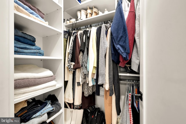 view of spacious closet