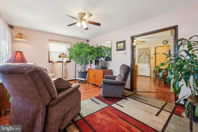 living room with hardwood / wood-style flooring and ceiling fan