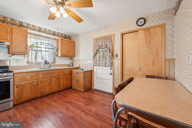 kitchen featuring ceiling fan, stainless steel range, dark wood-type flooring, and sink