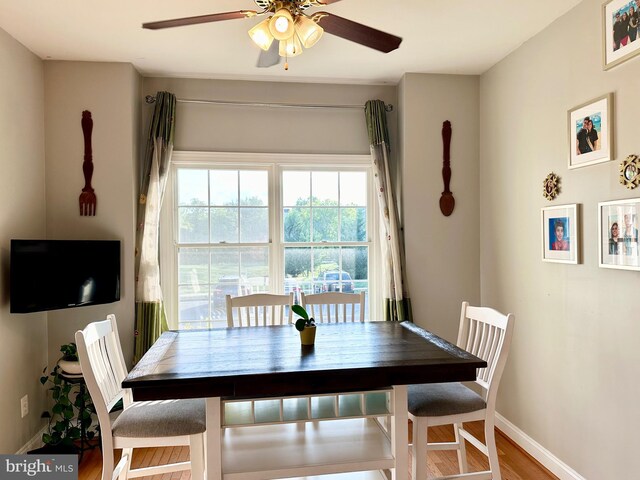 dining area with ceiling fan and wood-type flooring