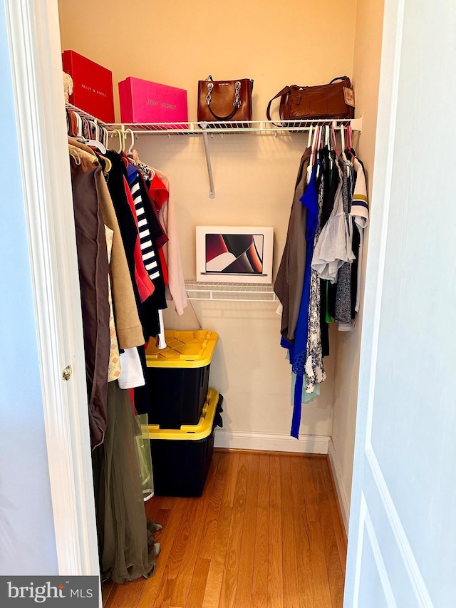 spacious closet with hardwood / wood-style flooring