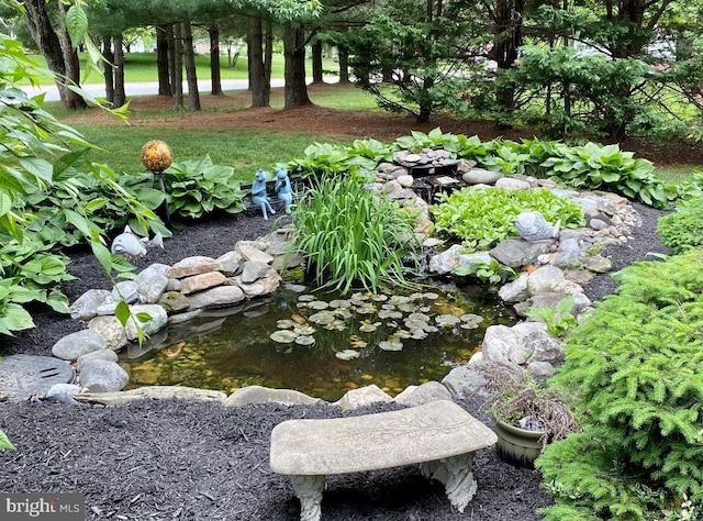 view of yard with a garden pond