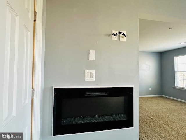 details with a fireplace and carpet flooring