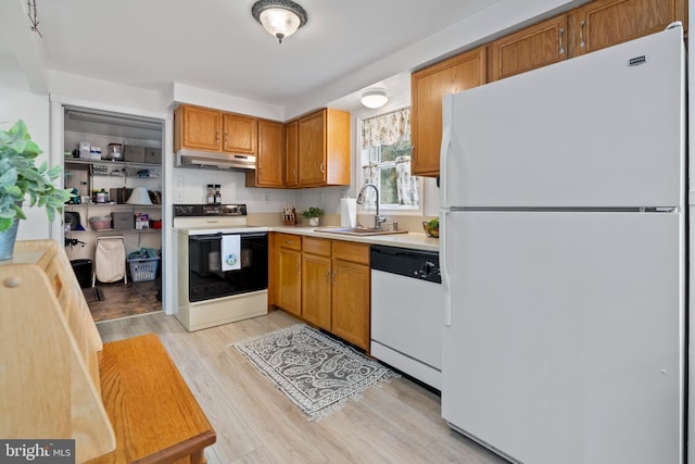 kitchen featuring light hardwood / wood-style floors, white appliances, and sink