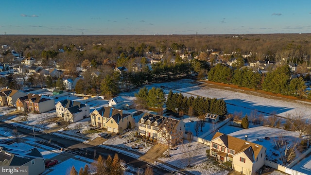 bird's eye view