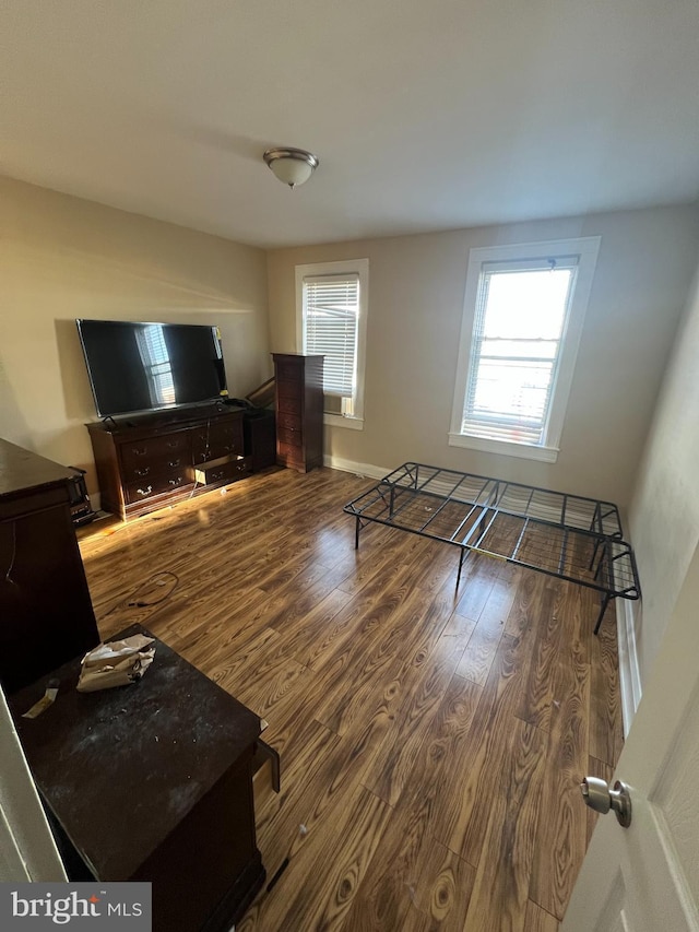 living room featuring a healthy amount of sunlight and wood-type flooring