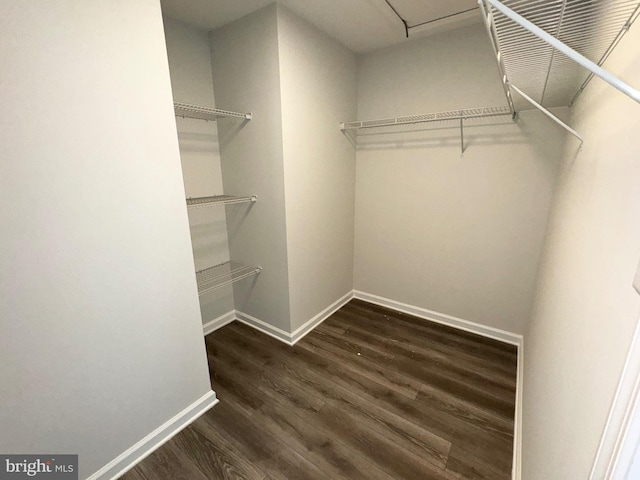 walk in closet featuring wood finished floors