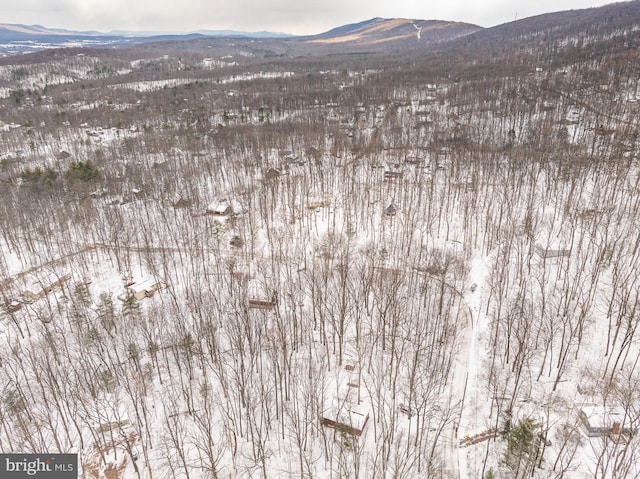 snowy aerial view featuring a mountain view